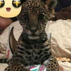 Meet your Posher, Emmanuel